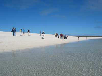 Denham, Shell Beach