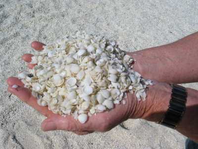 Denham, Shell Beach