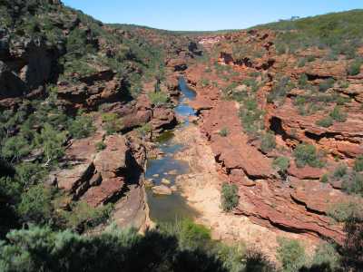 Kalbarri N.P. 