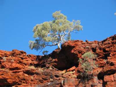 Karijini N.P., Hamersley Range