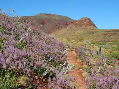 Karijini N.P. Aufstieg zum Bruce Mountain