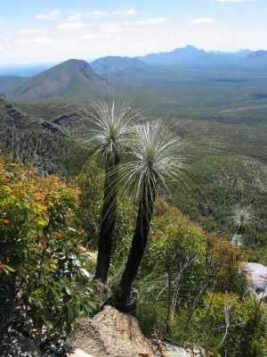 Stirling Ranges N.P., Wanderung auf den Bluff Knoll