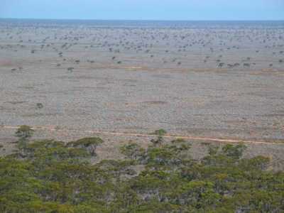 Nullarbor Plains