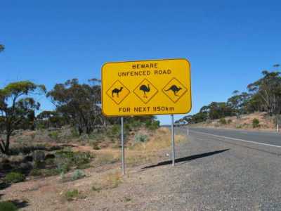 Nullarbor Plains, 1150 km ohne Zune 