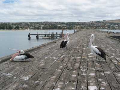 Port Lincoln, Jetty