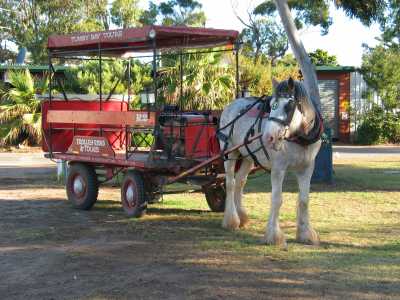 Tumby Bay, Kutschenfahrt mit "Henry"