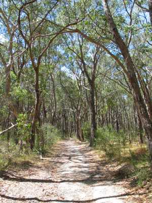 Adelaide, Belair N.P. , Wanderung