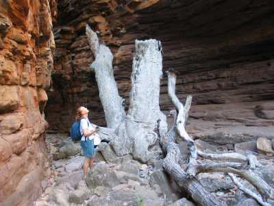 Mt. Remarkable N.P. Wanderung