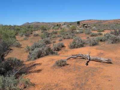 Port Augusta, Fahrt zum Flinders Ranges N.P.