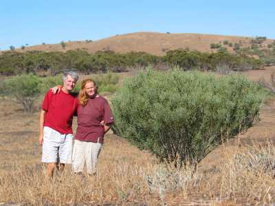 Port Augusta, Unterwegs zum Flinders Ranges N.P.