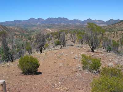 Flinders Ranges N.P. Wanderung mit Jenny und Andrea