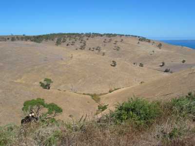 Fleurieu Peninsula, Cape Jervis