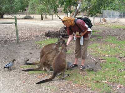 Victor Harbour, Tierpark