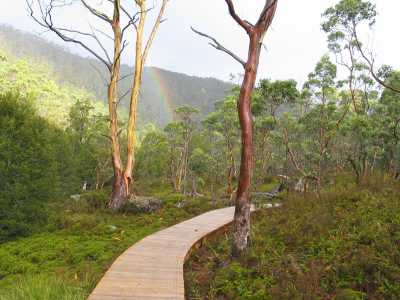 Tasmanien, Cradle Mountains