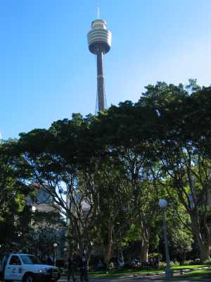 Sydney Tower