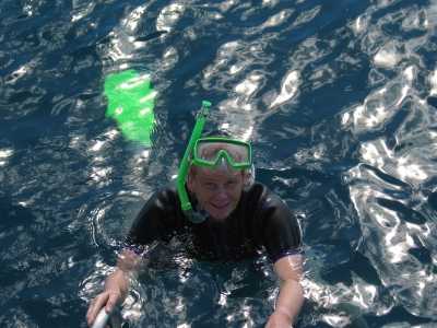 Great Barrier Reef, Schnorcheln auf der "Reefworld"