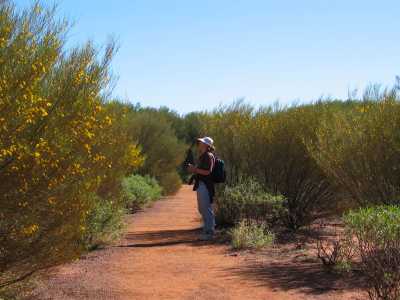 Alice Springs, Ayers Rock, Wanderung