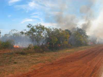 Kimberleys, gelegtes Feuer bei Derby 