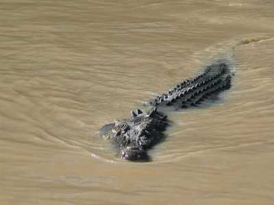Darwin, Bootstour auf dem Adelaide River