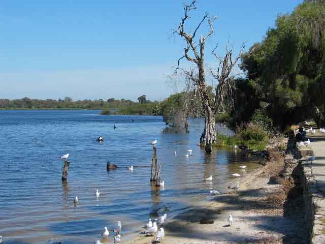 Perth, Bibra Lake
