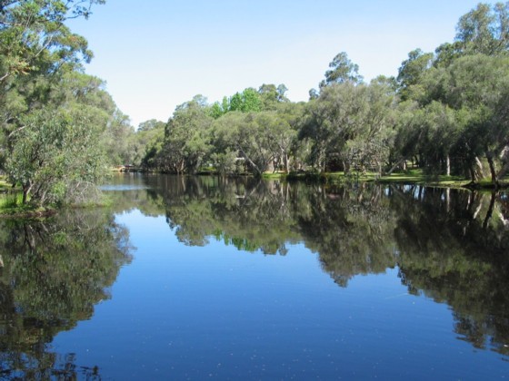 Perth, Whitemans Park