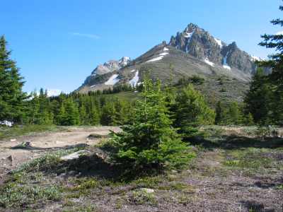 Banff NP Peyto Lake Wanderung
