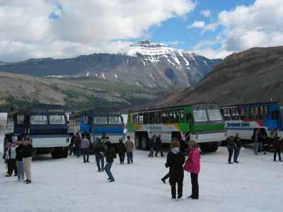 Jasper NP Columbia Icefield Tour