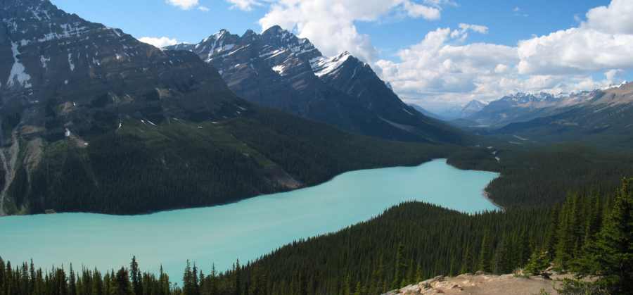 Banff NP Peyto Lake