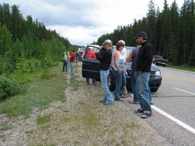 Jasper NP Zehn Autos und ein Bär