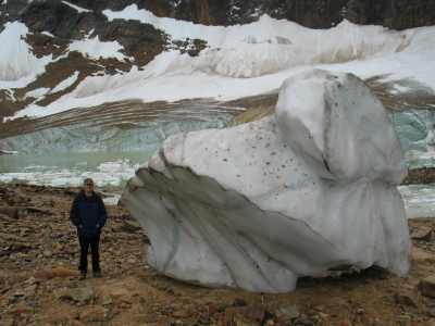 Jasper NP Mount Edith Cavell Gletscher