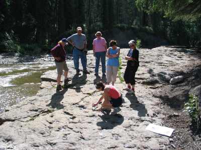 Tumbler Ridge, Dinosaurier Tour zum Flatbet Creek