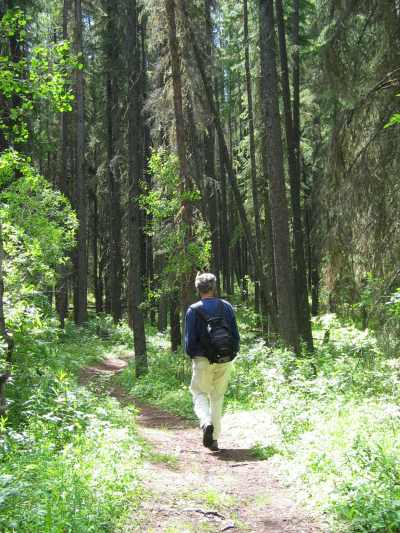 Tumbler Ridge, Wanderung in der Baer Country