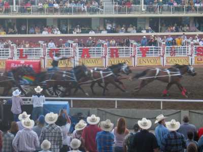 Calgary Stampede, Chuckwagon Race