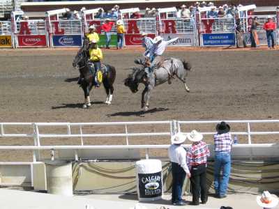 Calgary Stampede, Rodeo