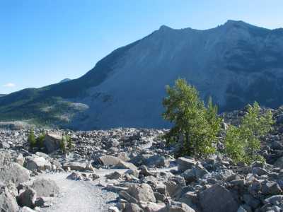 Crowsnest Highway, Frank Slide