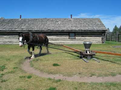 Fort Steele Heritage Town, Korn mahlen
