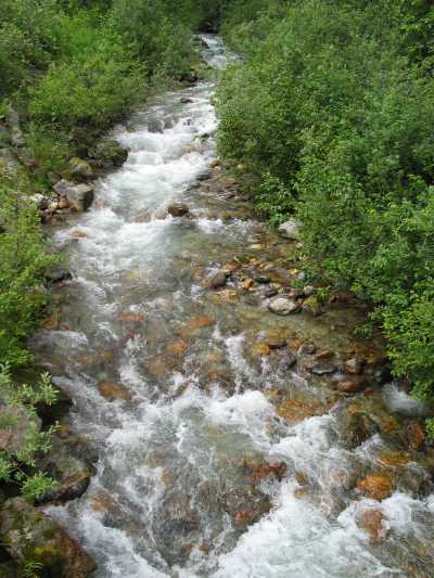 Glacier Nationalpark, Spaziergang