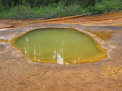 Kootenay NP, Paint Pots (Orchre Teich)