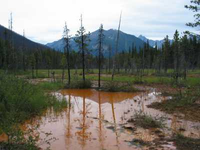 Kootenay NP, Paint Pots (Orchre Beds)