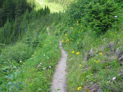 Kootenay NP, Wanderung, Aufstieg