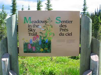 Mount Revelstoke Nationalpark