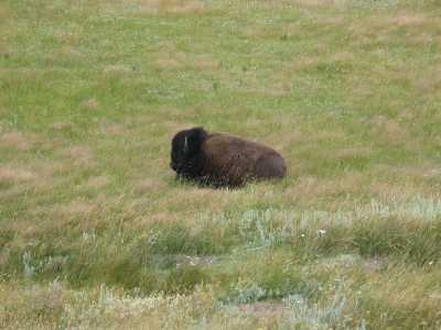Waterton Nationalpark