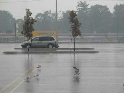 Brantford, Walmart Parkplatz