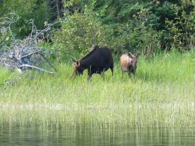 Quetico Provincial Park, Kanu Tour