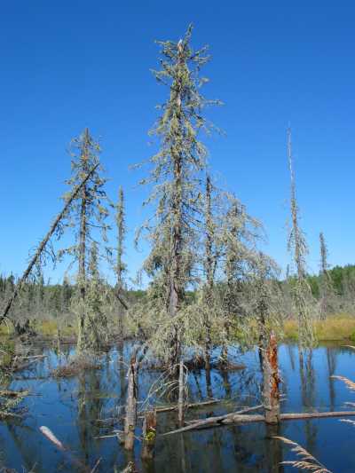 Quetico Provincial Park