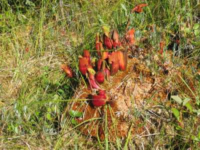 White Lake Provincial Park