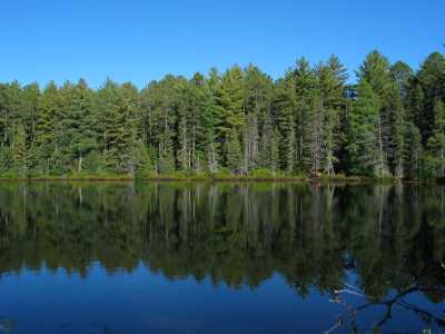 Algonquin Provincial Park, Jack Lake