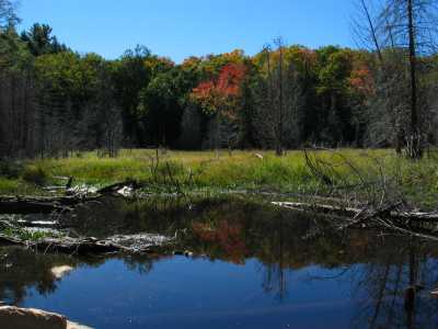 Algonquin Provincial Park, Bat Lake