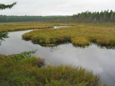 Algonquin Provincial Park, Biber Pond Trail