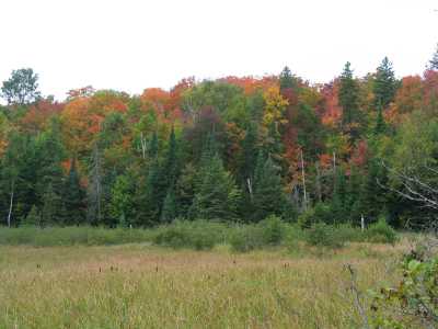 Algonquin Provincial Park, Herbstwanderung